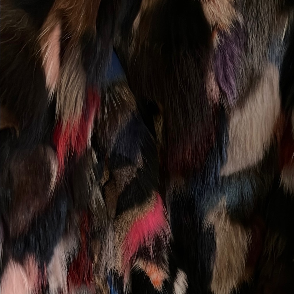 SAM 2 in 1 Multicolor Fur-Lined Hooded Jacket - Picture 3 of 8